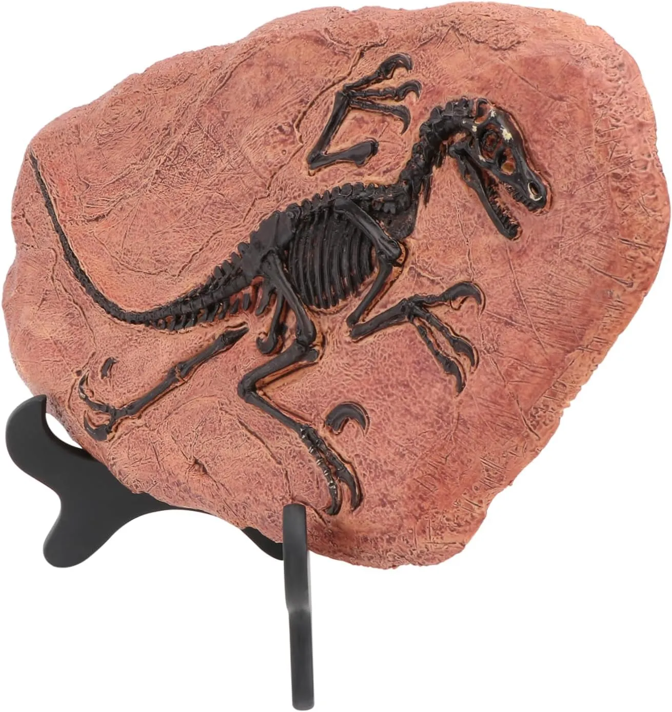 1Pc Simulation Dinosaur Adornment Velociraptor Desktop Ornament for Creativity Table Decor Educational Dinosaur Themed
