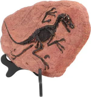 1Pc Simulation Dinosaur Adornment Velociraptor Desktop Ornament for Creativity Table Decor Educational Dinosaur Themed
