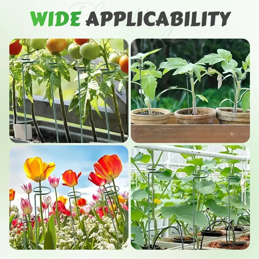 4/8/12 Pack Plant Stakes, 16/24/36 Inch Plant Support Stakes, Plant Sticks Support, Flower Stakes for Plants Peony, Tomato Seedling, Marigold, Amaryllis, Sapling, Coreopsis (16 Inch-12 Pack)