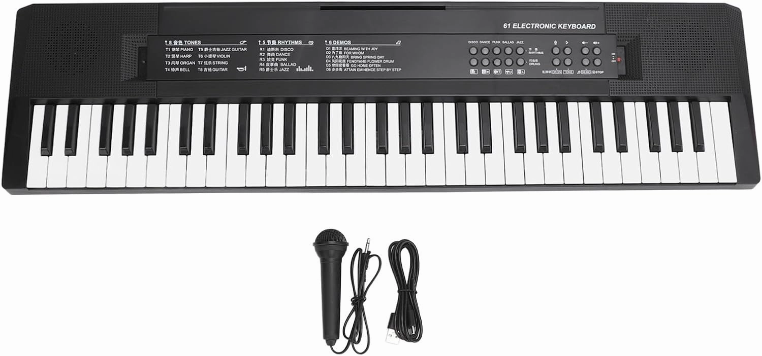 61 Key Electronic Keyboard, Portable Electric Keyboard Piano with Microphone for Kids Over 3 Years Old