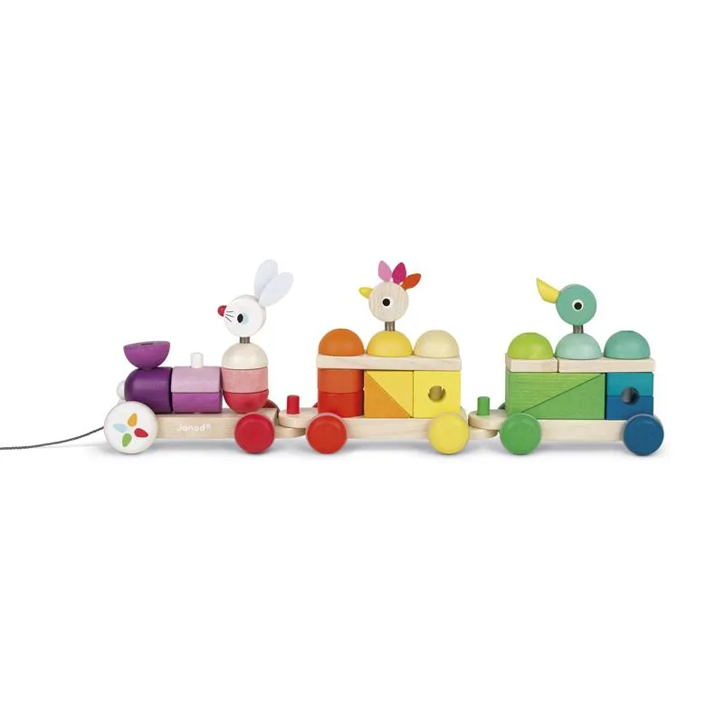 Activity & Educational Toys | Zigolos Giant Multicolour Train | Wooden Toys