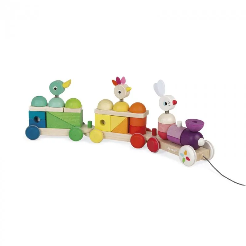 Activity & Educational Toys | Zigolos Giant Multicolour Train | Wooden Toys