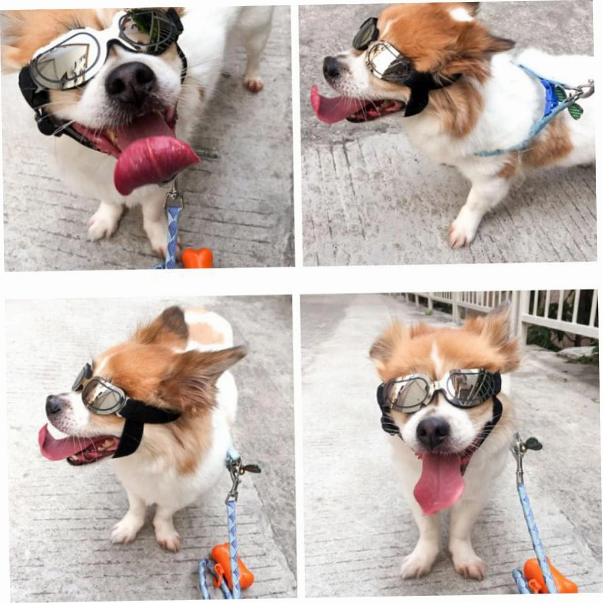 Angoily 3 Pcs Dog Sunglasses Pet Eye Wear Goggles with Wider Bridge Cup Sturdy Frame