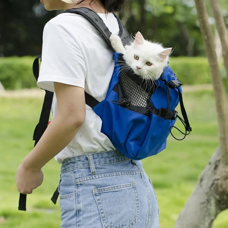 ANYWAGS Pet Carrier Large Light Gray Travel Riding Driving Pet Backpack for Medium to Large Dogs with Pockets for Pet Supplies