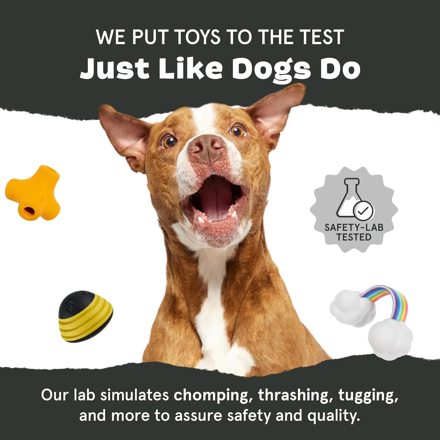 Barkbox Flingray Dog Toy for Large Aggressive Chewers – Durable with Squeaky Rubber Core, Perfect for Tough Play and Long-Lasting Fun