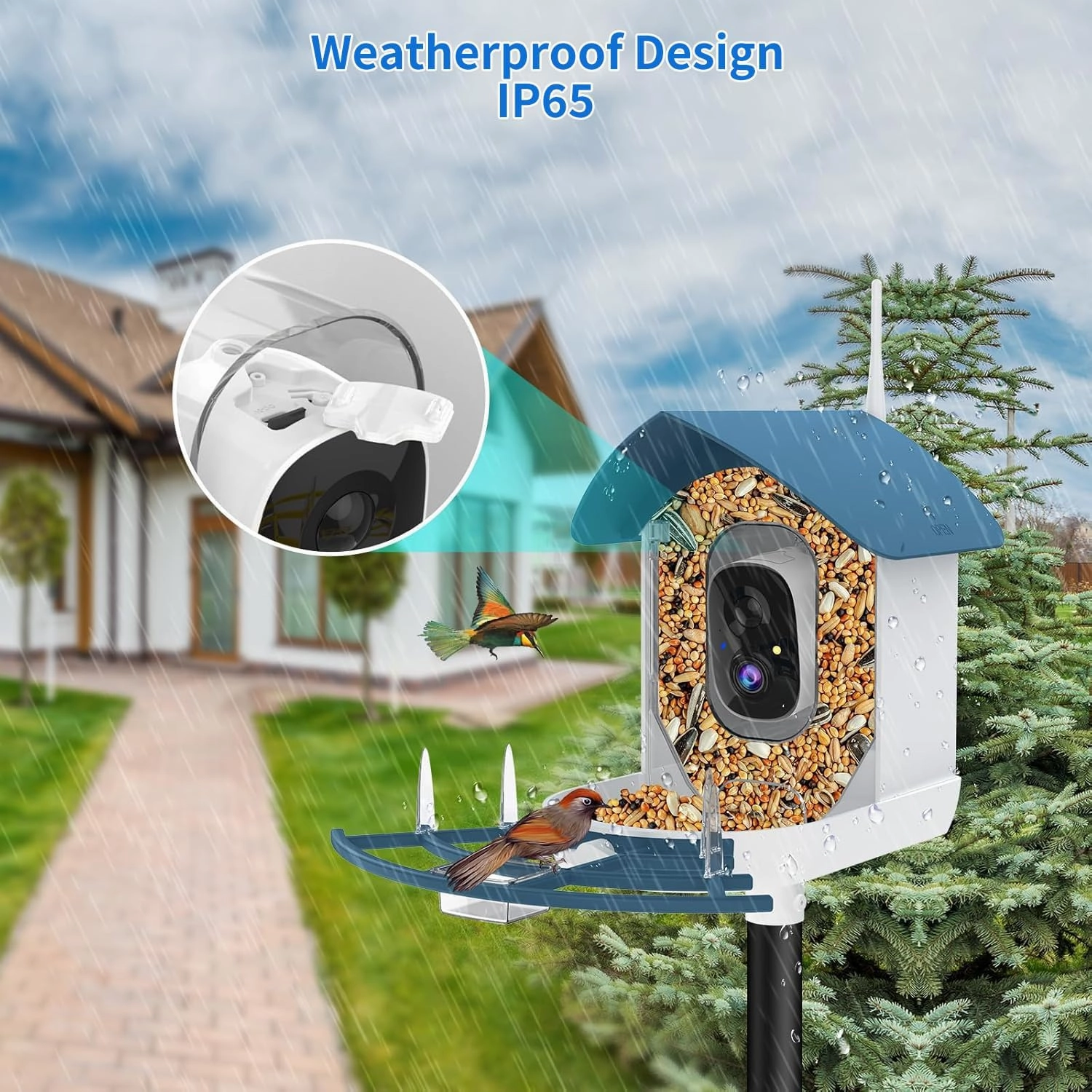 Bird Feeder with Camera,AI Identify Birds Species,Smart Bird Camera with Solar Powered,Auto Record FHD 2K Birds Video in Backyard,Instant Notifications,Ideal Gift for Family and Bird Lovers,Navy Blue