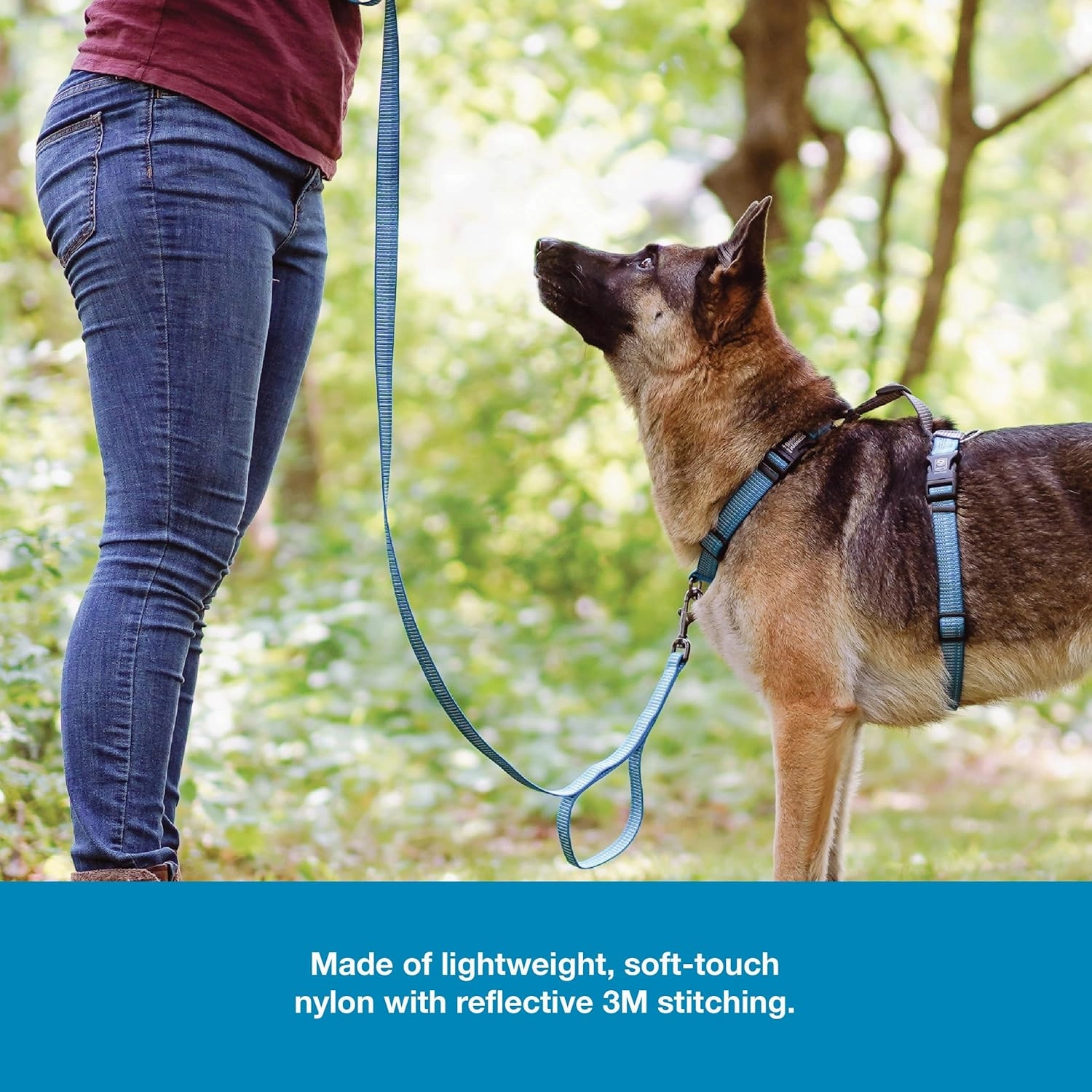 Blue-9 Reflective Dog Leash, Multi-Function 6 Foot Adjustable Lead with Traffic Loop and 3M Reflective Stitching for Obedience, Running, and Agility Training, Made in The USA, Small/Medium, Blue