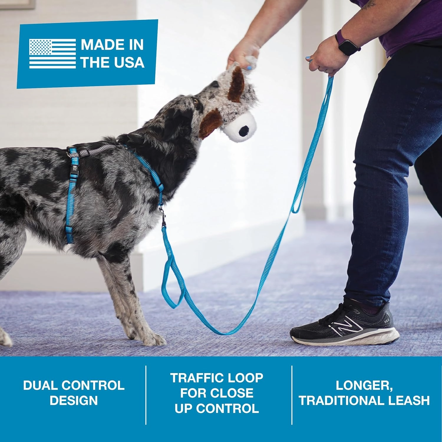 Blue-9 Reflective Dog Leash, Multi-Function 6 Foot Adjustable Lead with Traffic Loop and 3M Reflective Stitching for Obedience, Running, and Agility Training, Made in The USA, Small/Medium, Blue
