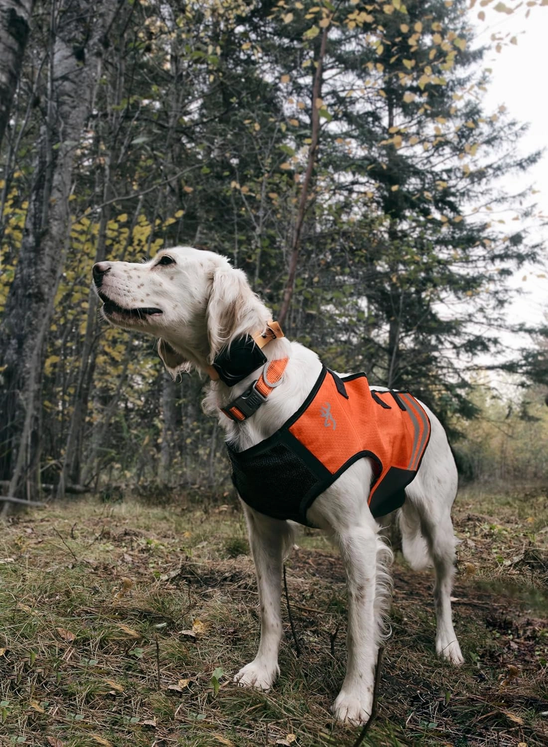 Browning Pet Vests, Hi Vis Safety Vests for Dogs, Saftey Orange/Black, Large, Full Coverage