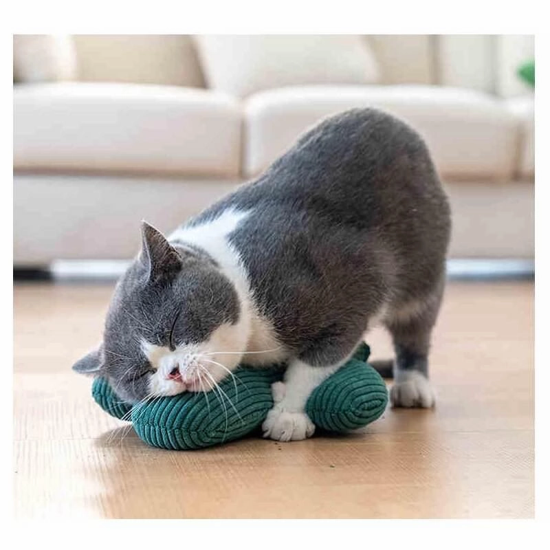 Cactus Dog Chew Toy - Durable Pet Chew for Playtime