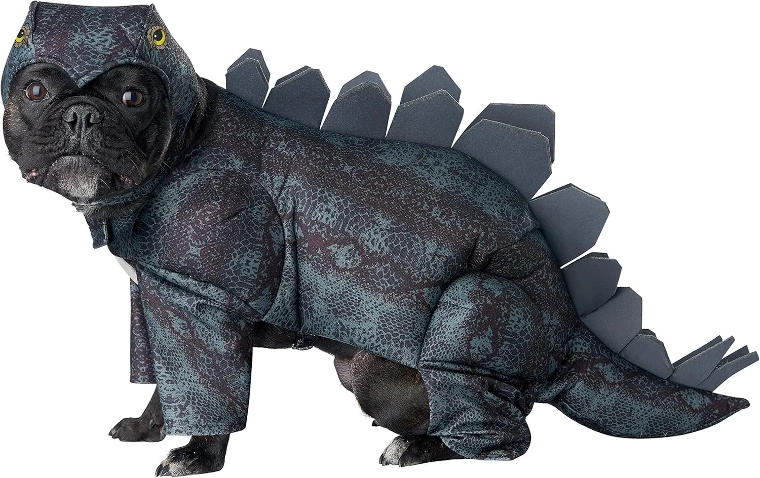 CALIFORNIA COSTUME COLLECTIONS womens STEGOSAURUS Dog Costumes, Dark Green, XS US