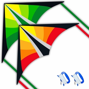 Delta Beginner Kite for Kids & Adults, Easy to Fly Beach Kite