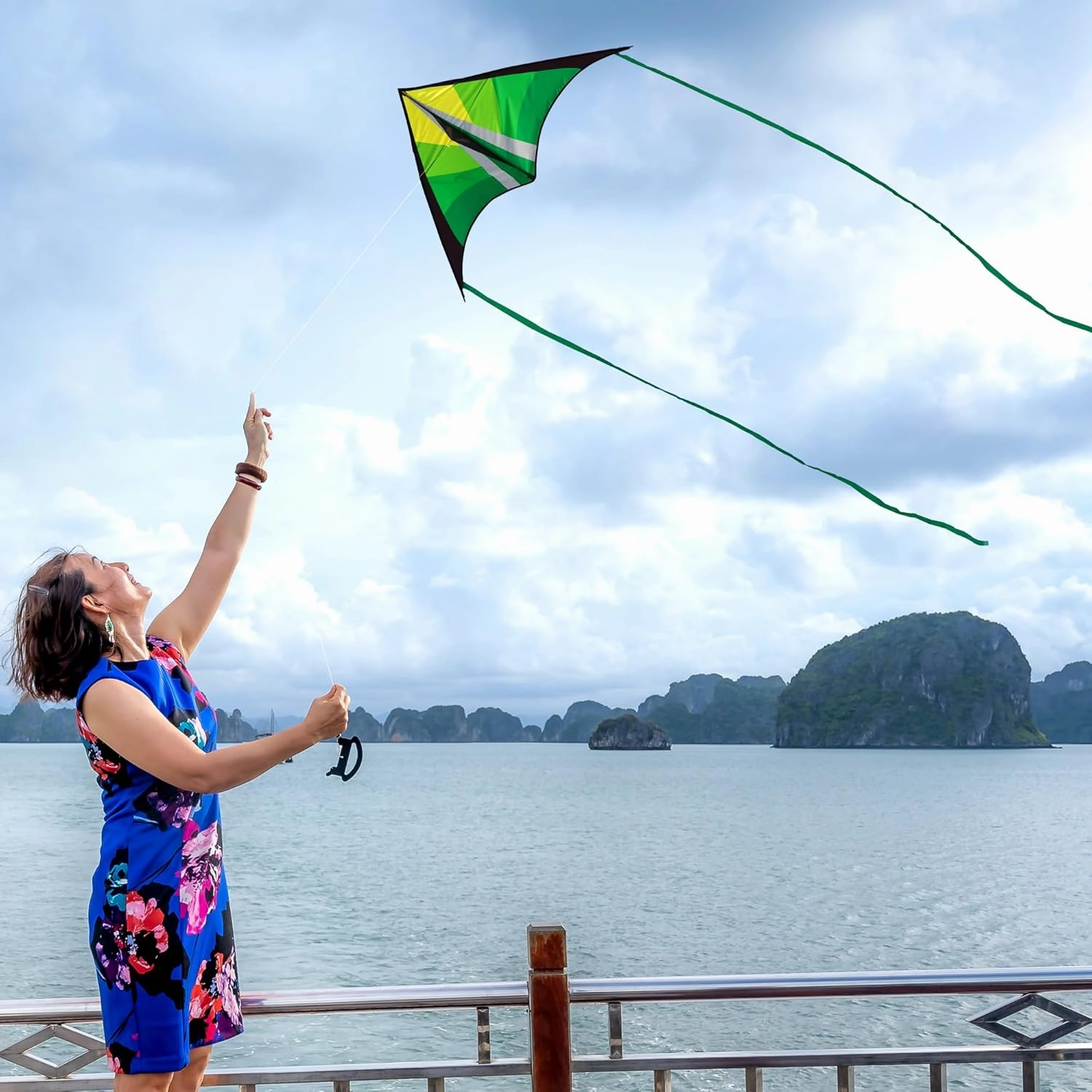 Delta Beginner Kite for Kids & Adults, Easy to Fly Beach Kite