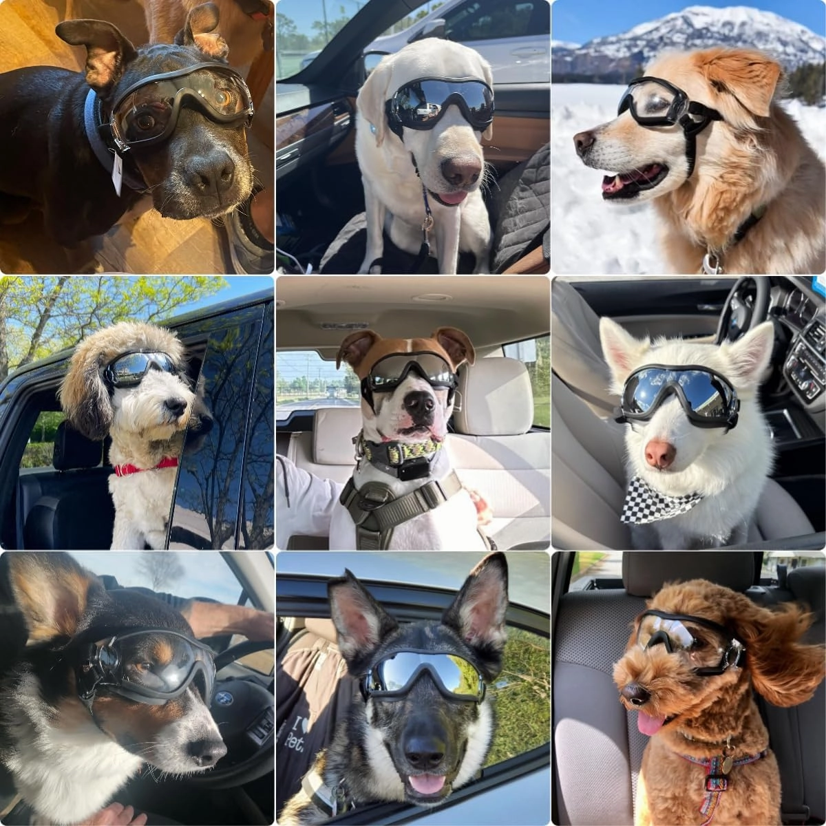 Dog Goggles Large Breed, UV Protection 2PCS Black and Clear Lens Dog Sunglasses Medium Large Pet Windproof Adjustable Doggy Glasses for Driving Riding Biking
