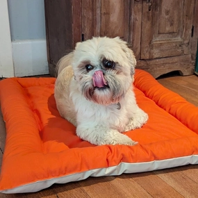 Dog Mat - Flexible Dog Bed Comfort - Scratch & Water Resistant