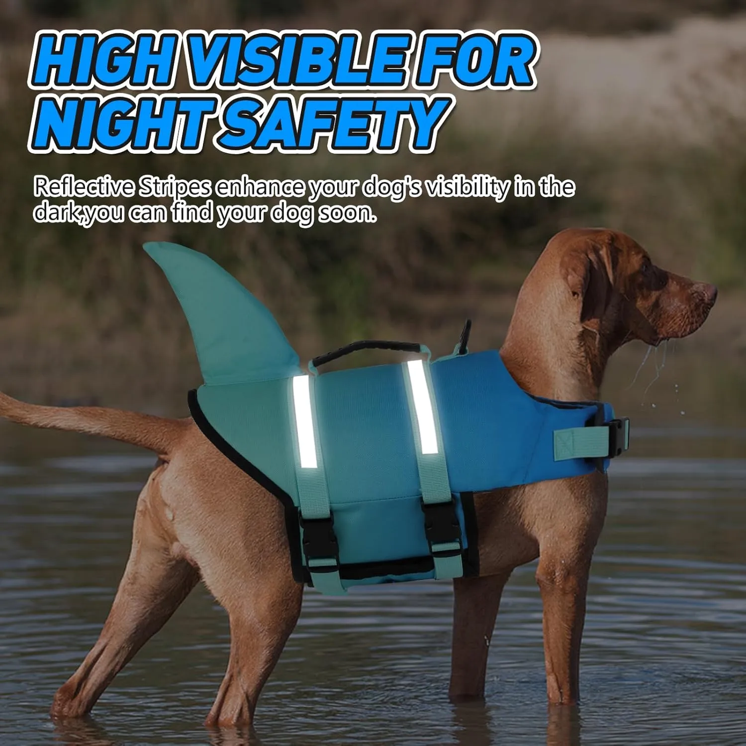 Doglay Dog Life Jacket, Ripstop Cute Shark Dog Life Vest with Superior Buoyancy and Rescue Handle, Adjustable Puppy Life Vests for Swimming Boating, Pet Flotation Vest for Small Medium Large Dogs