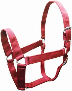 Draft Horse Extra Wide Halter BLACK