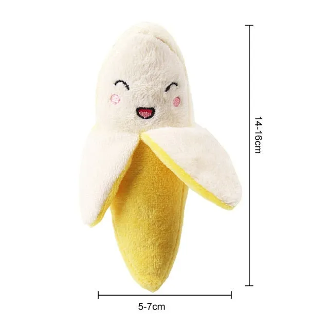 Durable Squeaker Pet Toy