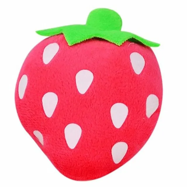 Durable Squeaker Pet Toy