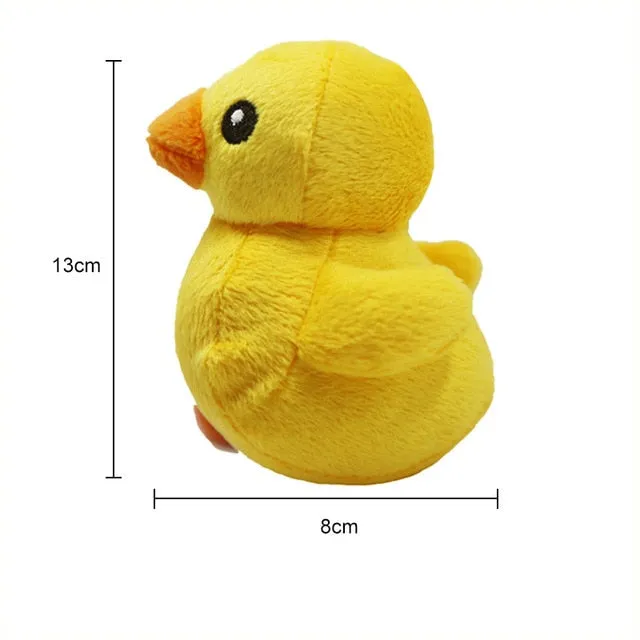 Durable Squeaker Pet Toy