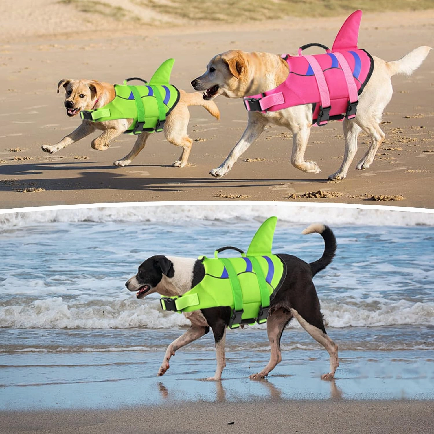 Fragralley Shark Fin Dog Life Jacket, High Buoyancy with Tear-Resistant Nylon of Dog Swim Vest, Pet Life Preserver for Small Medium Large Dogs, Puppy Float Vest for Swimming and Boating