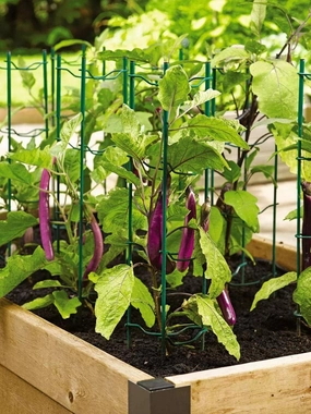 Gardener's Supply Company Pepper and Eggplant Garden Stakes | Upright Metal Vegetable Plant Supports | Sturdy V -Shape Stackable Ladder Trellis | 6" W x 6" D x 32" H (Set of 3) - Green