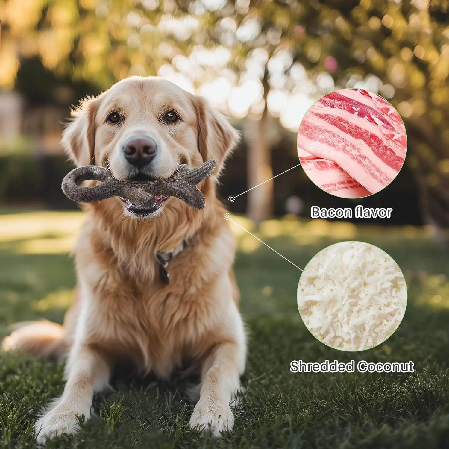 Gardner Pet Dog Chew Toys for Aggressive Chewers, Added Shredded Coconut Durable Nylon   TPR Interactive Dog Toys, Teething Toy for Medium/Large Breed, Bacon Flavor (4PCS, Bacon)