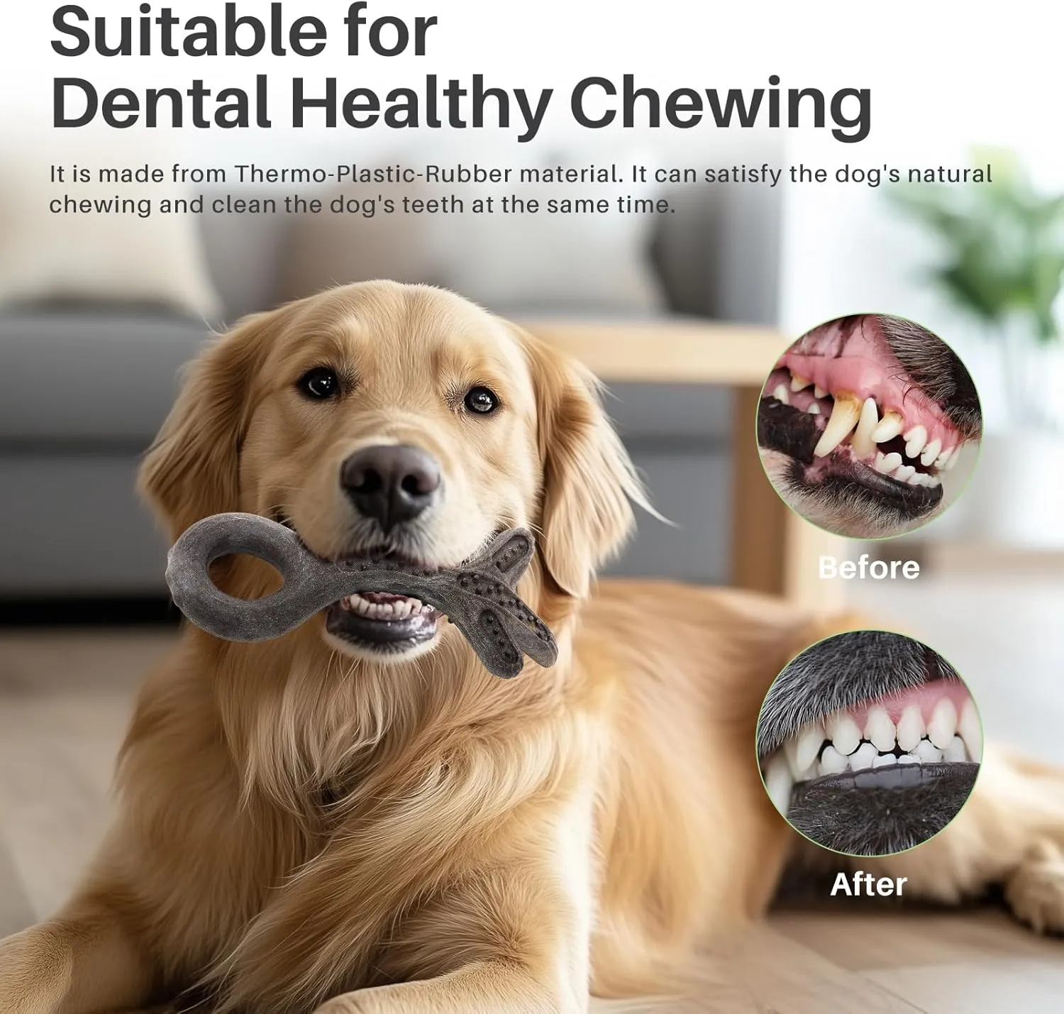 Gardner Pet Dog Chew Toys for Aggressive Chewers, Added Shredded Coconut Durable Nylon   TPR Interactive Dog Toys, Teething Toy for Medium/Large Breed, Bacon Flavor (4PCS, Bacon)