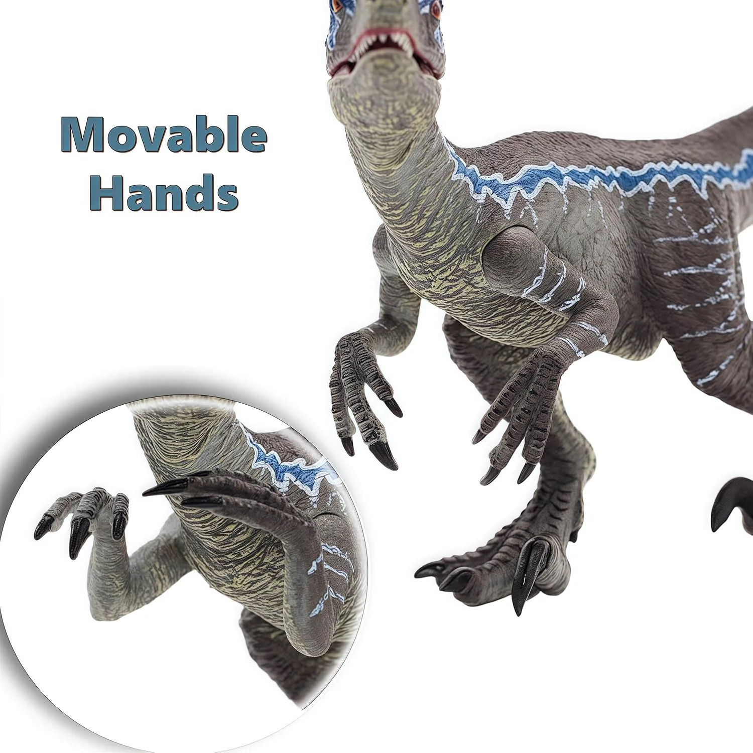 Gemini&Genius Velociraptor Dinosaur Toy for Kids, Raptor Dinosaur Toy Figure with Moveable Jaw and Hands, Realistic and Solid Velociraptor Gift Box, Play, Display, Collection for Kids and Dino Lovers