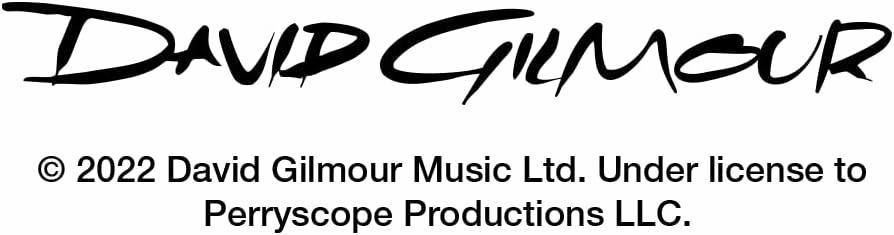 GRAPHICS & MORE David Gilmour Guitar Graphic Home Business Office Sign