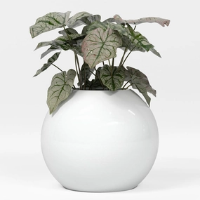 Greenline Nala Globe Planter - Indoor/Outdoor Large Fiberglass Lightweight Planter - 24" x 24" x 19" (Gloss White)