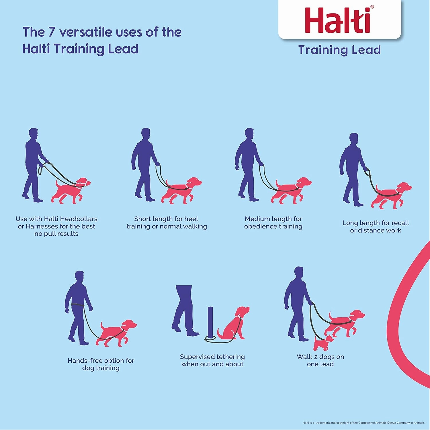 HALTI Headcollar Size 3, Black & HALTI Training Leash Size Large, Black Combination Pack - Stop Your Dog Pulling on the Leash. Adjustable, Lightweight with Padded Nose Band. Suitable for Medium Dogs