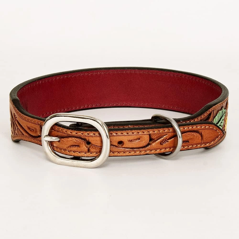 HILASON Tan Large Strong Genuine Leather Dog Collar Painted Large | Dog Collar | Leather Dog Collar | Painted Dog Collar