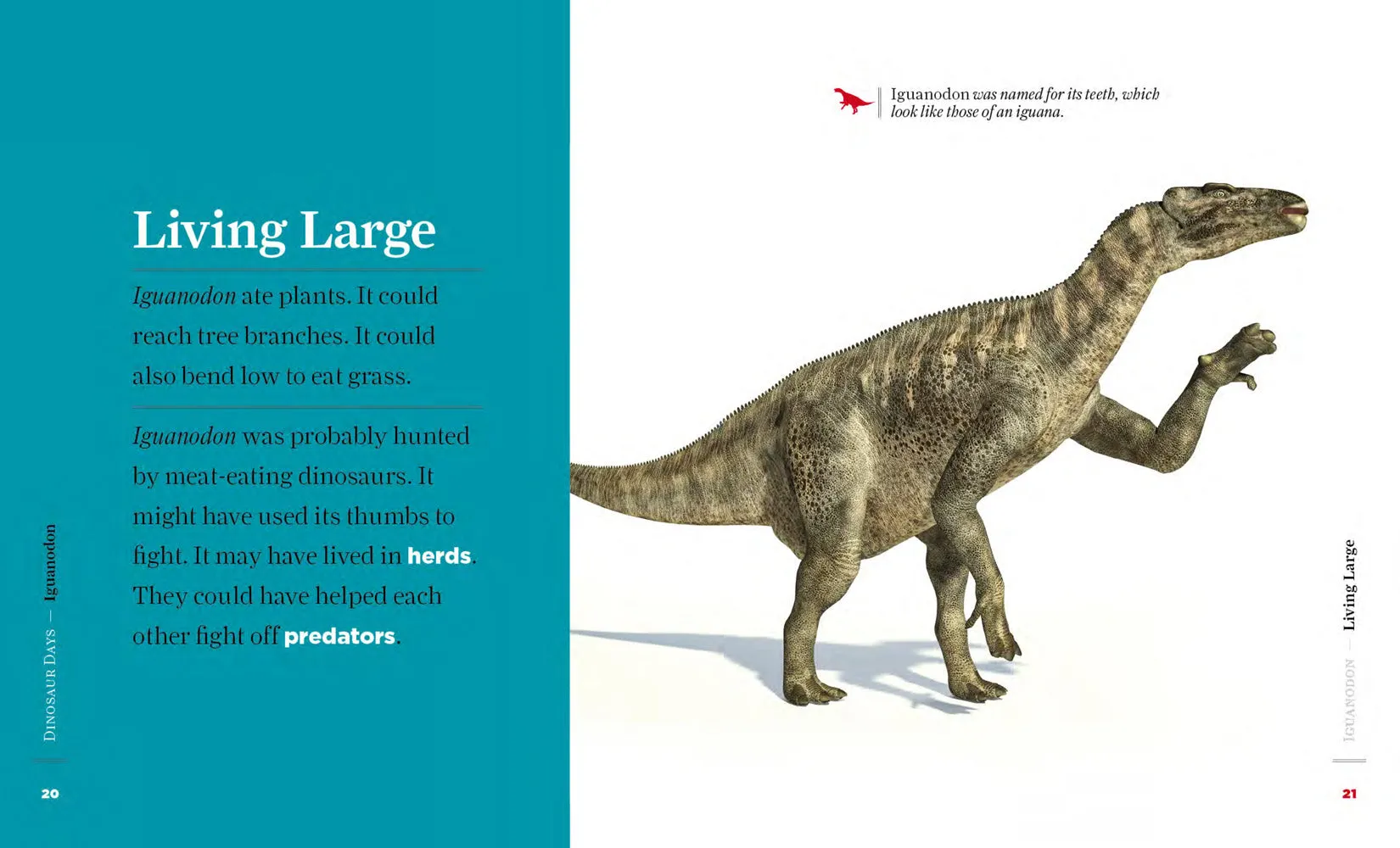 Iguanodon