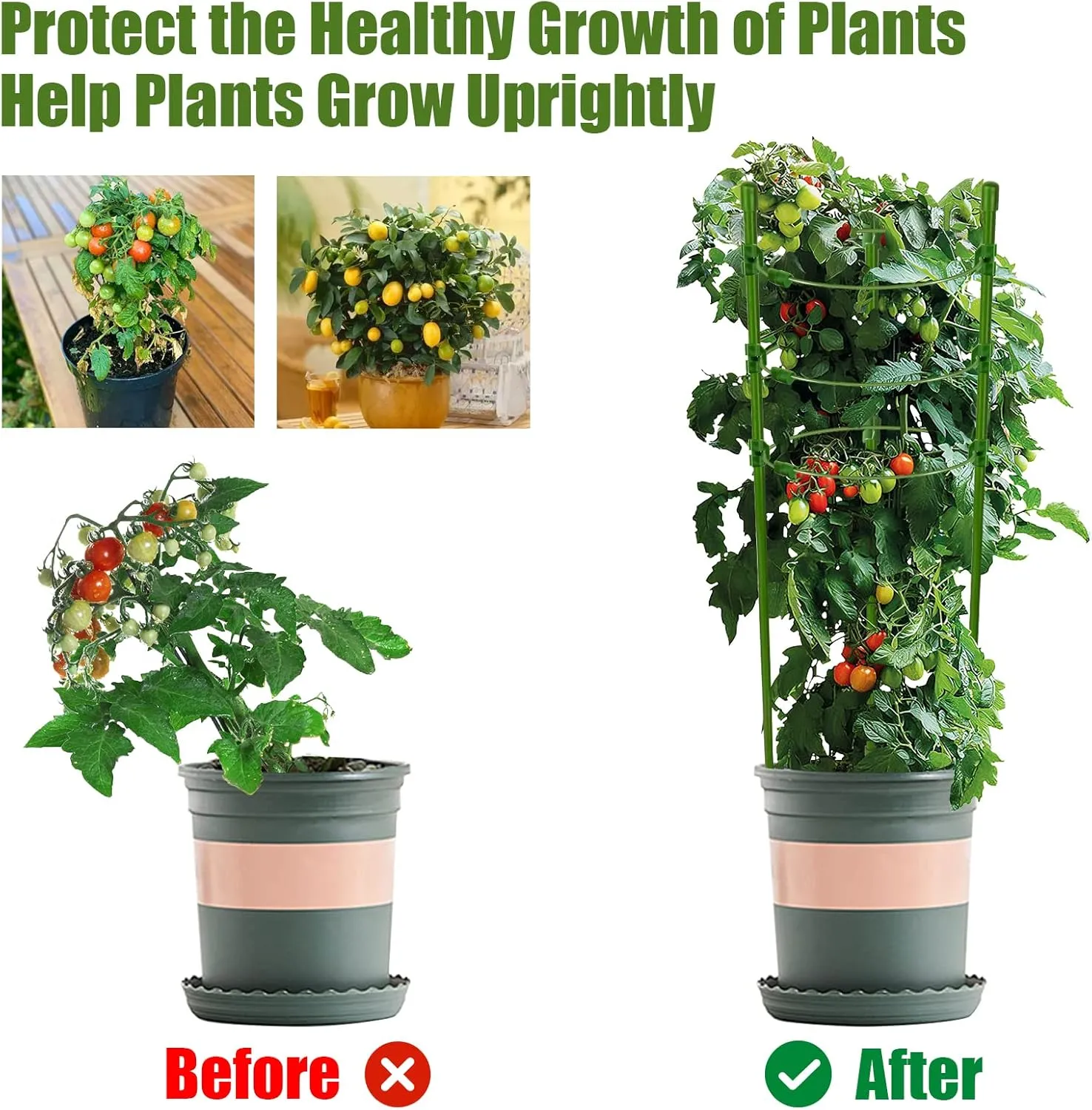 Legigo 6 Packs 18inch Plant Support Cages with 3 Adjustable Support Rings- Small Tomato Cage for Pots Plant Holder for Home Garden Balcony for Orchids, Tomato, Vegetables, Flowers, Climbing Plants