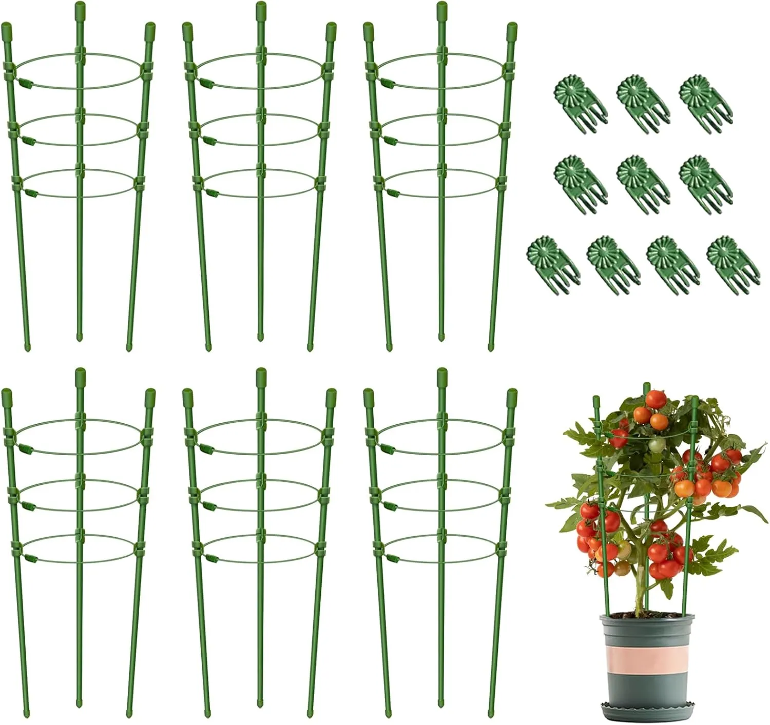 Legigo 6 Packs 18inch Plant Support Cages with 3 Adjustable Support Rings- Small Tomato Cage for Pots Plant Holder for Home Garden Balcony for Orchids, Tomato, Vegetables, Flowers, Climbing Plants