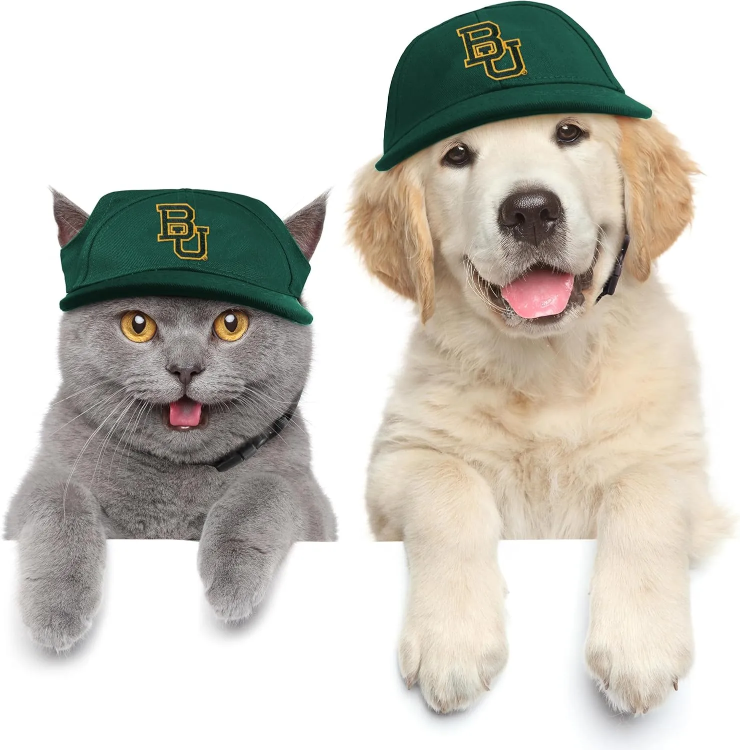 Littlearth NCAA Michigan Wolverines Pet Baseball Hat, Team Color, Large