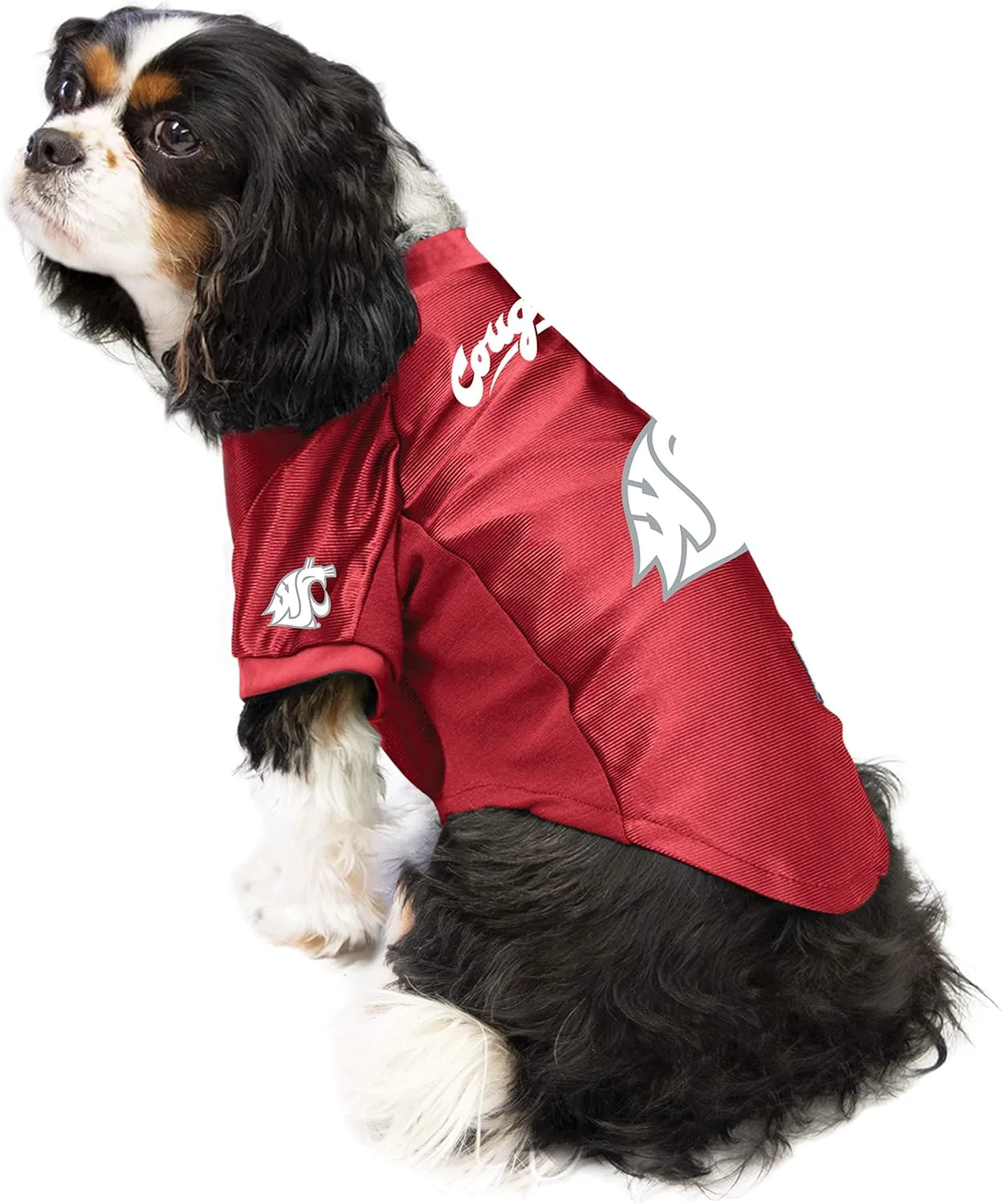 Littlearth NCAA Stretch Pet Jersey