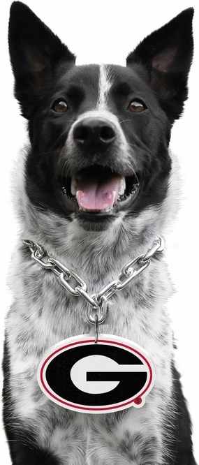 Littlearth NCAA Pet Fan Chain
