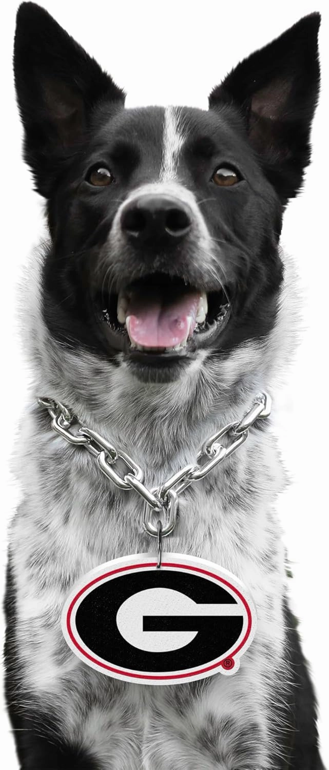 Littlearth NCAA Pet Fan Chain