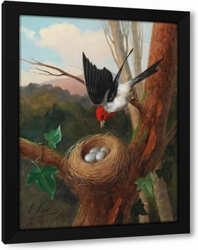 Michelangelo Meucci 35x48 Huge Black Modern Framed Art Print Titled: Bird at Its Nest