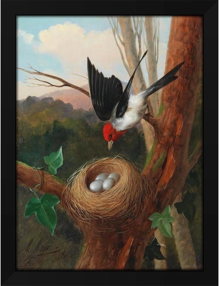 Michelangelo Meucci 35x48 Huge Black Modern Framed Art Print Titled: Bird at Its Nest