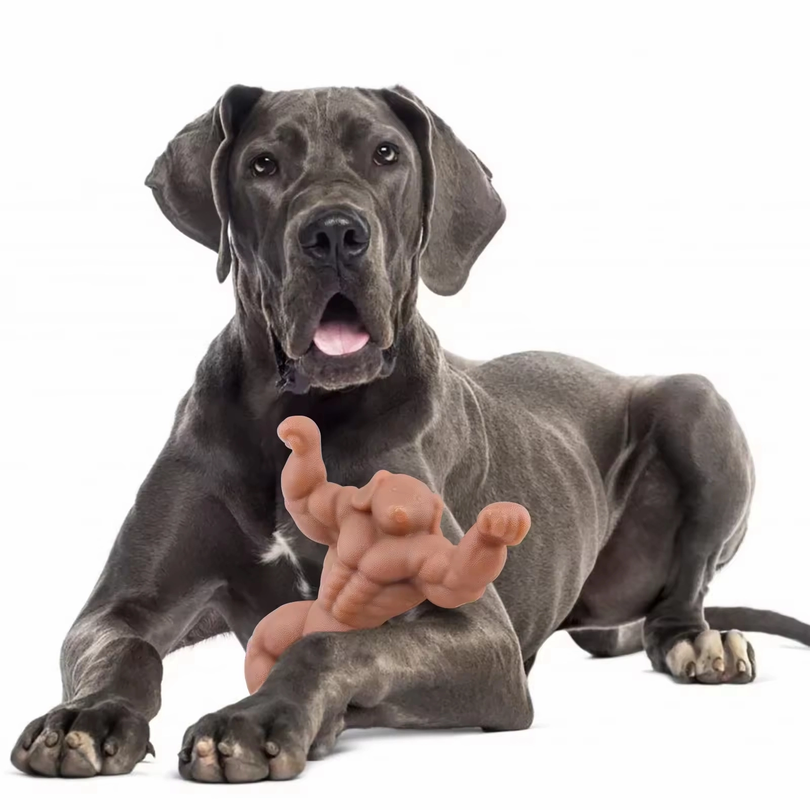 Muscle Dog Ultra-Durable Chew Toy