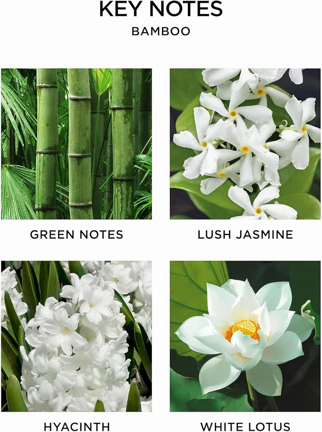NEST New York Smart Home Fragrance Diffuser Refill Smart Vials, Bamboo - Set of 2 - Designed for NEST x Pura 3 and NEST x Pura 4 Diffusers - Cruelty Free, Vegan - Made in USA
