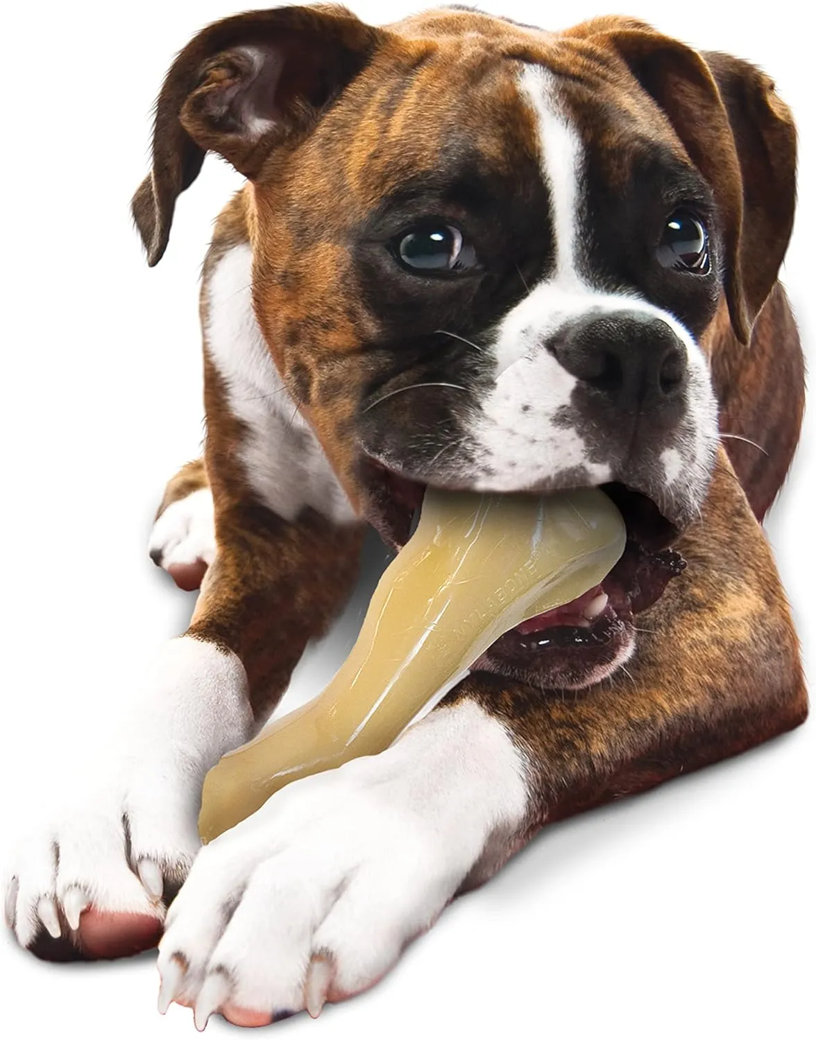 Nylabone Power Chew Femur Bone BIG Dog Chew Toy Chicken XX-Large/Monster - 50   lbs. (1 Count)