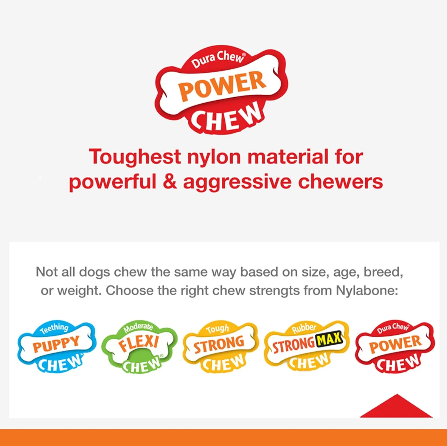 Nylabone Power Chew Femur Bone BIG Dog Chew Toy Chicken XX-Large/Monster - 50   lbs. (1 Count)