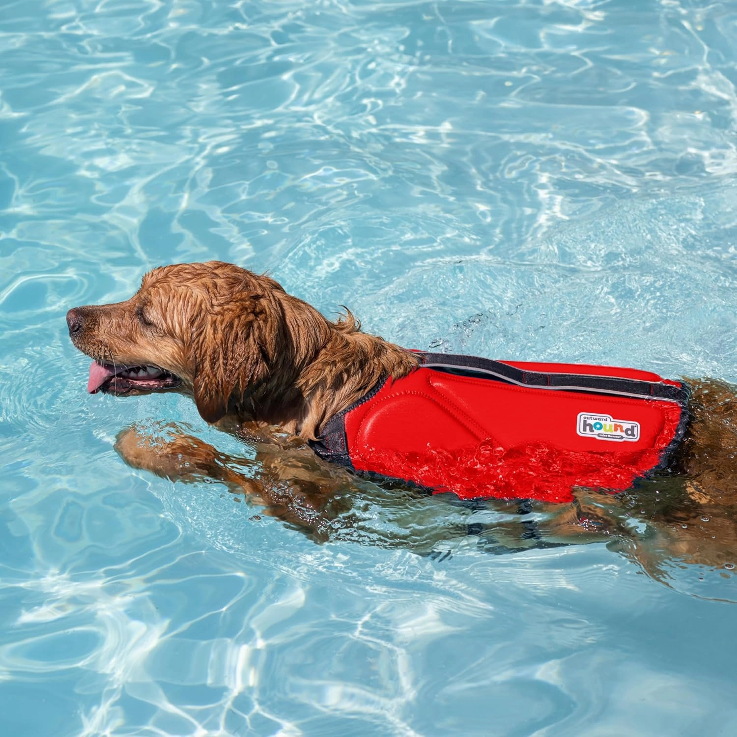 Outward Hound Dawson Swim Dog Life Jacket, High-Performance Neoprene Dog Life Vest for Swimming, Boating, and Water Safety, Small, Red