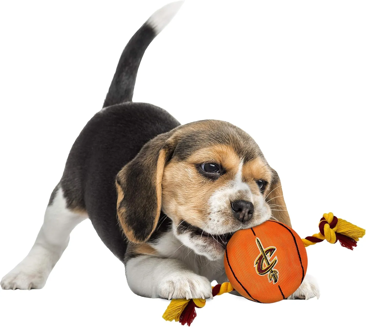 Pets First NBA Cleveland Cavaliers Basketball Toy. - Tough Nylon Pet Toy with Tug Ropes & Inner Squeaker, One Size, CAV-3105