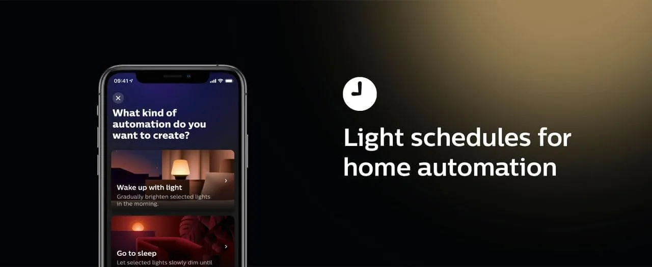 Philips Hue Outdoor 40W Power Supply, Black - Connect Multiple Hue Outdoor Low Voltage Lights up to Total of 40W - 1 Pack - Requires Hue Bridge - Weatherproof