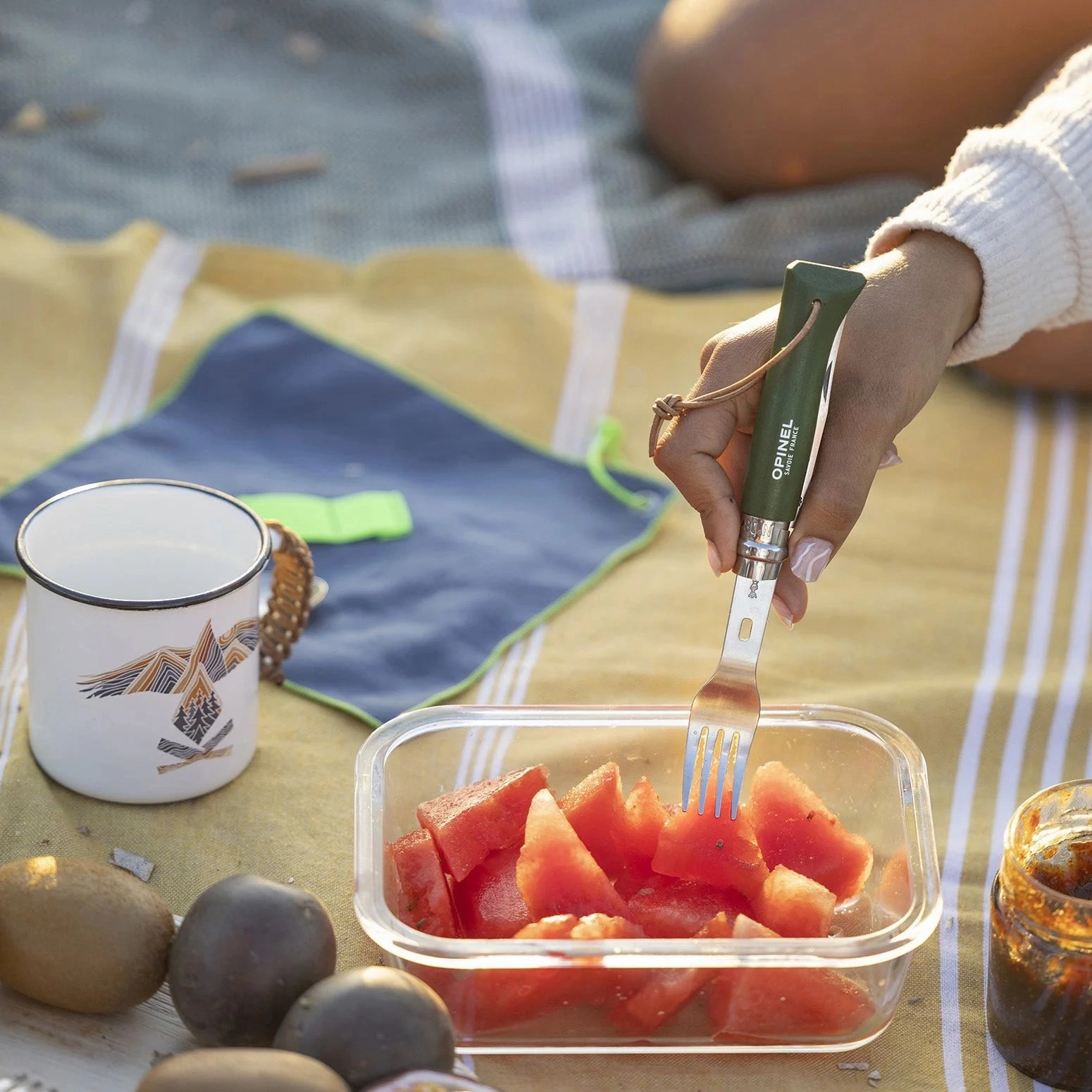 Picnic  Cutlery Inserts